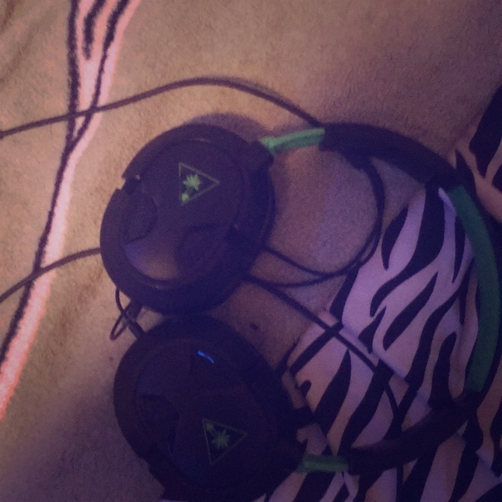 Turtle beaches